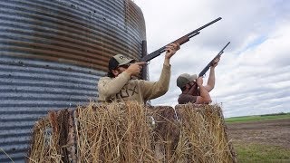 Pump Action 410 Grain Silo Pigeon Hunt [upl. by Ready692]