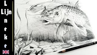 Easy CARP fish for beginners Graphite pencil drawing [upl. by Cuda25]