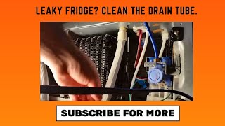 Repairing water leak inside fridge Freezing drain vs clogged drain line [upl. by Garry]