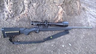 First Shots Remington 700 ADL 308 Win Rifle HD [upl. by Letreece]