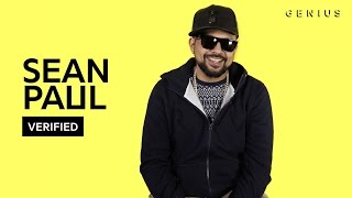 Sean Paul quotNo Liequot Official Lyrics amp Meaning  Verified [upl. by Eniamurt651]