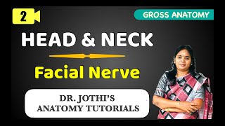 Head amp Neck  Facial Nerve Anatomy GROSS ANATOMY CLASS  2 [upl. by Hitt]