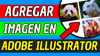 Como Agregar Una Imagen En Adobe Illustrator 2024 Facil y Rapido [upl. by Aicek]