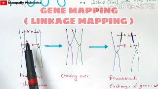 Gene Silencing Methods CRISPR vs TALENs vs RNAi [upl. by Drol]