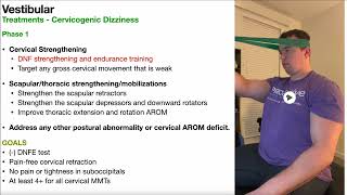 Cervicogenic Dizziness  Treatment Progressions [upl. by Ecadnac61]