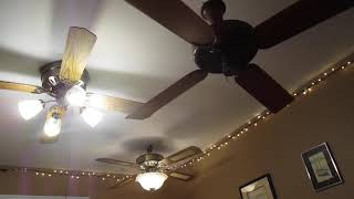 NCFD 2019 Ceiling Fans in my Bedroom on ALL SPEEDS with No Copyright Music V1  ECFE [upl. by Wight]