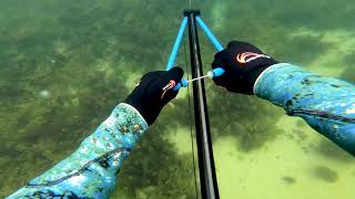 Mt Eliza Spearfishing [upl. by Edison]