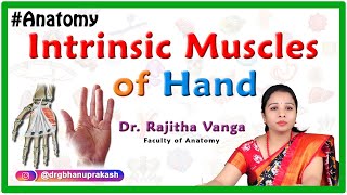 Intrinsic Muscles of the Hand [upl. by Alrick253]