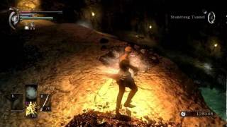 Demons Souls Hunting Cristal Lizards In The Nest22 World [upl. by Wilser514]