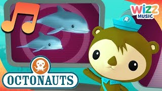 Adorable Dolphins  Songs for Kids  Octonauts  Wizz Music [upl. by Widera]