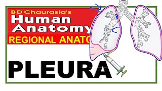 Chp15  Pleura  Thoracic Cavity  Thoracic Cage  Dr Asif Lectures [upl. by Oal]