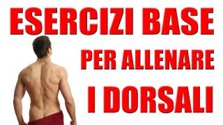 Esercizi DorsaliSchiena Semplici le Trazioni Orizzontali  Personal Trainer 43 [upl. by Dnob]