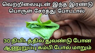 வெற்றிலையுடன் இந்த இரண்டு பொருளை சேர்த்து போட்டு பாருங்க 30நிமிடத்தில் குதிரை பலம் கிடைக்கும் [upl. by Zara894]