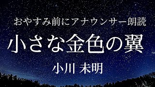 【朗読睡眠】眠れるアナウンサー朗読「小さな金色の翼」小川未明【元NHK フリーアナウンサー島 永吏子】 [upl. by Ellenej]