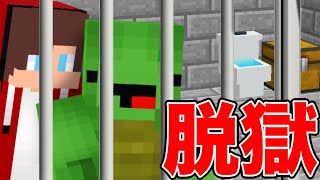 部屋に閉じ込められた！【マイクラ脱獄】 [upl. by Ronni]