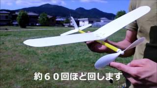 ゴム動力模型飛行機 ハヤブサ [upl. by Frederik]