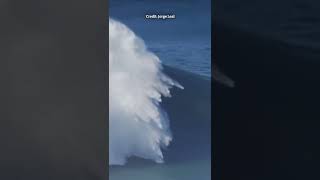 Surfing Steudtner breaks world record for biggest wave ever surfed [upl. by Eeleimaj]