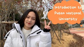 Pusan National University Introduction to DormitoryОбщежитие Пусанского Национального Университета [upl. by Pozzy]