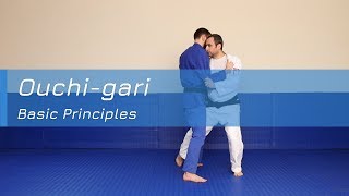 Ouchigari  Basic principles [upl. by Pain287]