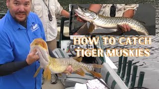 Tiger Muskie Tips amp Tactics on Newman Lake  Extended Cut [upl. by Fasano814]