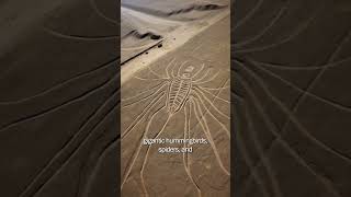 The secrets of Nazca Lines [upl. by Sabu47]