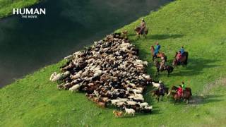 Aerial shooting  Steppes Mongolia [upl. by Phare806]