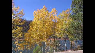 Vallecito Lake [upl. by Brade959]