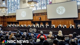 ICJ orders Israel to prevent acts of genocide in Gaza [upl. by Eelyab583]