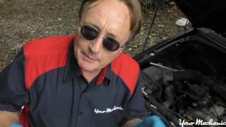 How To Change Spark Plugs in Your Car with Scotty Kilmer [upl. by Leonard]