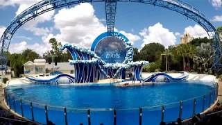 Dolphin Days at SeaWorld Orlando  full show [upl. by Rosenfeld]