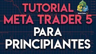 Tutorial MetaTrader 5 para principiantes  Cómo usar MeTatrader MT5 [upl. by Annyrb622]