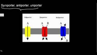 lecture 20 part 1 Ion channel properties inactivation mechanism [upl. by Ylevol]