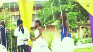 Trigmatic ft Castro  Wedding Day [upl. by Cilka103]