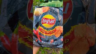 Salt amp Vinegar And Flamin Hot Lays [upl. by Niltag]