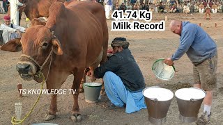 World Highest Milking 41740 Kg Milk Record Sahiwal Cow Milk Competition Govt LES Farm Bahadar Nagar [upl. by Iderf]