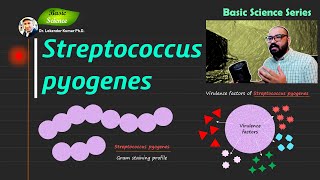 Streptococcus pyogenes  Bacitracin disk test  Microbiology  Bacteriology  Basic Science Series [upl. by Yahiya558]