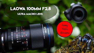 Laowa 100mm f28 21 Ultra Macro lens Long Term review  real world test [upl. by Oliviero569]