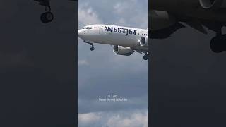 WestJet 737 Max landing Toronto planespotting [upl. by Nahtan]