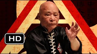 Hung Gar Fighting Techniques Grandmaster YC Wong Lessons [upl. by Bowyer]