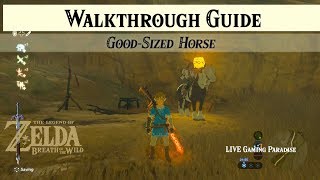 Breath of the Wild  GoodSized Horse  Walkthrough Guide [upl. by Aihsik]