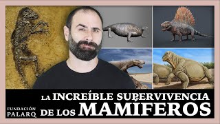 El Origen de los Mamíferos [upl. by Annasor572]