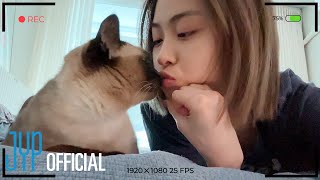 ITZY VLOG RYUJINs Holiday [upl. by Labana]