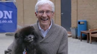 Paul OGrady For the Love of Dogs S010E03 Full Episode HD [upl. by Pylle]