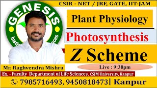 Photosynthesis  Z Scheme  Plant Physiology  CSIR NETJRF  IITJAM [upl. by Avla]