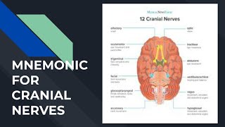 MNEMONIC FOR CRANIAL NERVE AIAPGET [upl. by Connell]