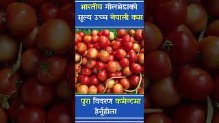 भारतीय गोलभेडाको मुल्य उच्च  kalimati vegetable and fruits rate today  kalimatitarkaribazar [upl. by Cornela760]