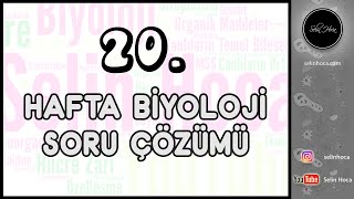 20 Hafta Biyoloji Soru Çözümü [upl. by Ailecnarf273]