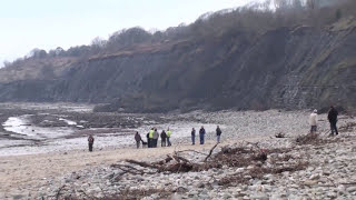 Landslide Lyme Regis Monmouth Beach February 11th 2013 [upl. by Dranyer]