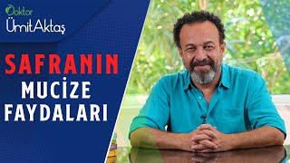 Safranın Mucizevi Faydaları  Dünyanın En Kıymetli Baharatı [upl. by Madeline]