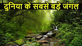 दुनिया के सबसे बड़े जंगल  Top 10 Largest and DANGEROUS Forest in World [upl. by Tuchman]